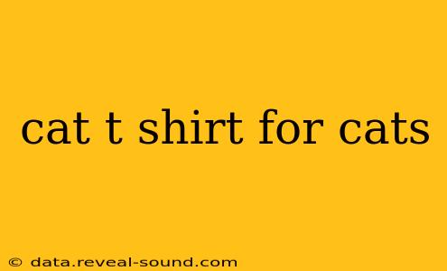cat t shirt for cats