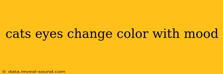 cats eyes change color with mood