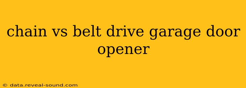 chain vs belt drive garage door opener