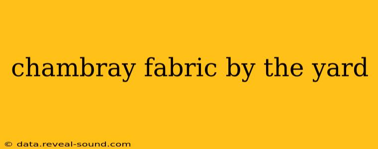 chambray fabric by the yard