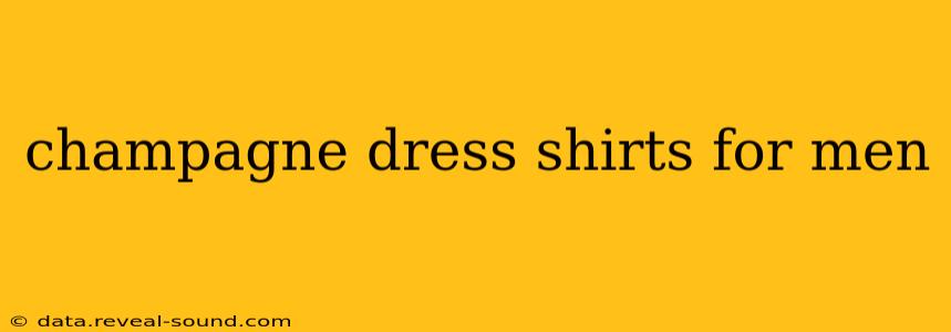 champagne dress shirts for men