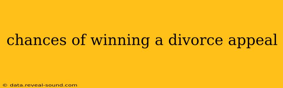 chances of winning a divorce appeal