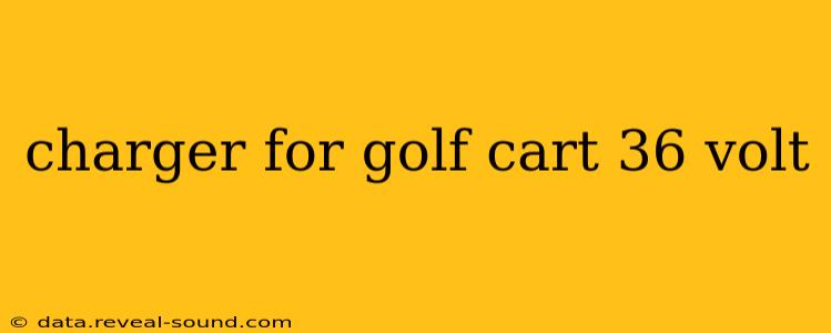 charger for golf cart 36 volt