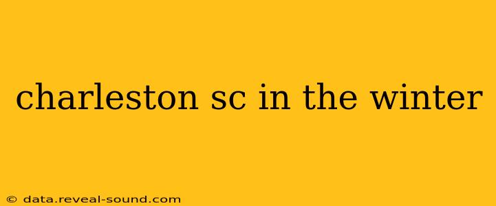 charleston sc in the winter