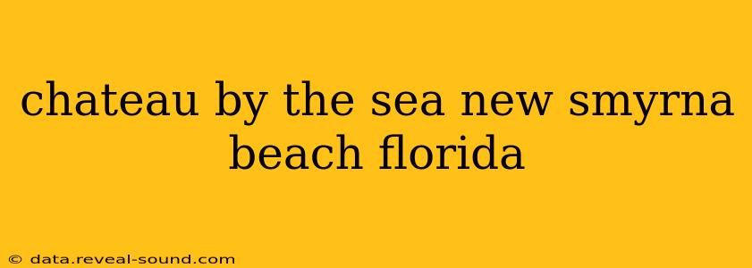 chateau by the sea new smyrna beach florida