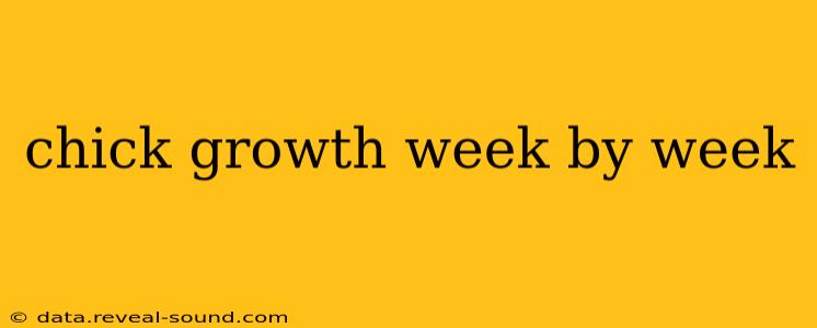 chick growth week by week