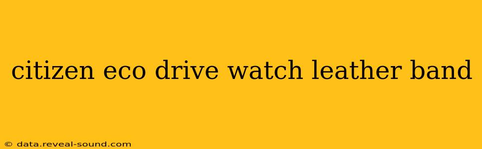 citizen eco drive watch leather band