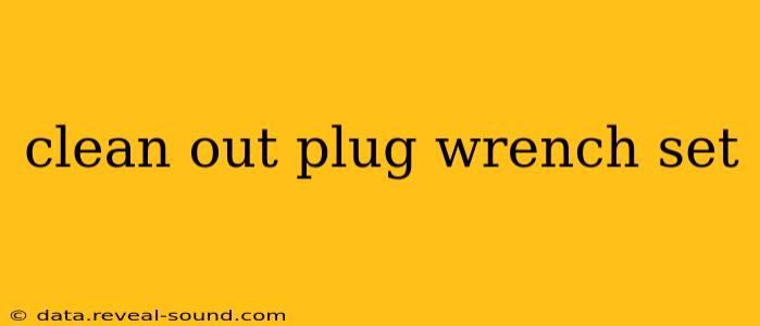 clean out plug wrench set