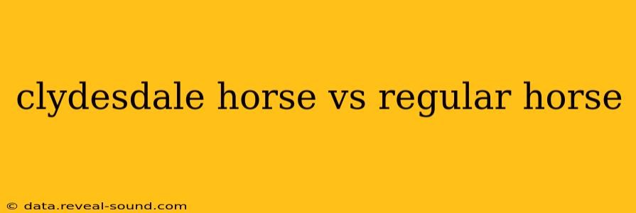 clydesdale horse vs regular horse
