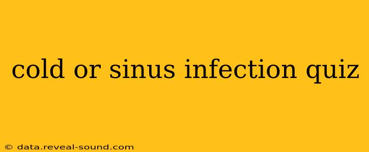 cold or sinus infection quiz