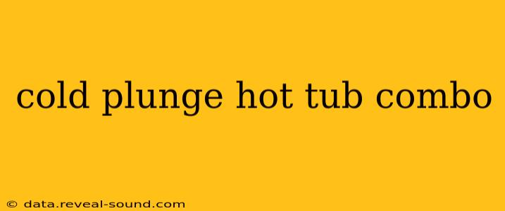cold plunge hot tub combo