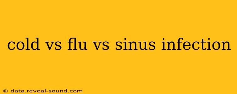 cold vs flu vs sinus infection