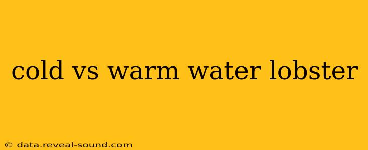 cold vs warm water lobster