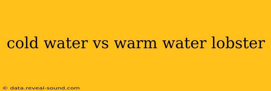cold water vs warm water lobster