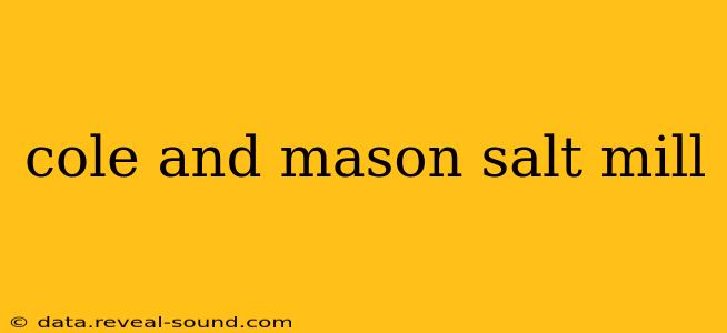 cole and mason salt mill