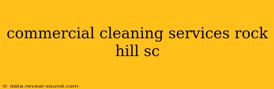 commercial cleaning services rock hill sc