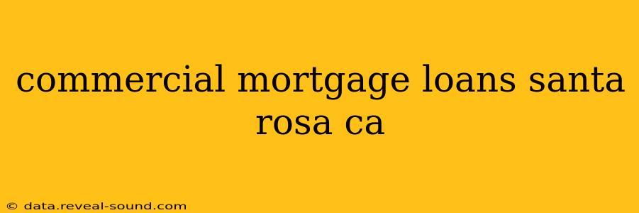commercial mortgage loans santa rosa ca