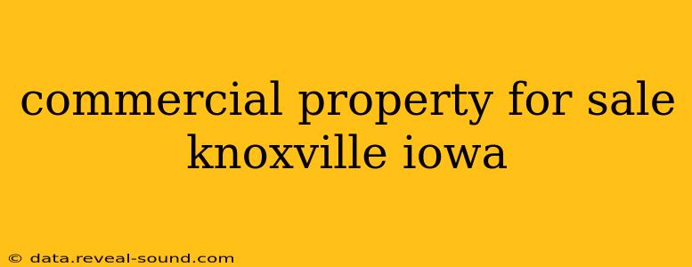 commercial property for sale knoxville iowa