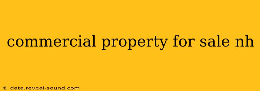 commercial property for sale nh