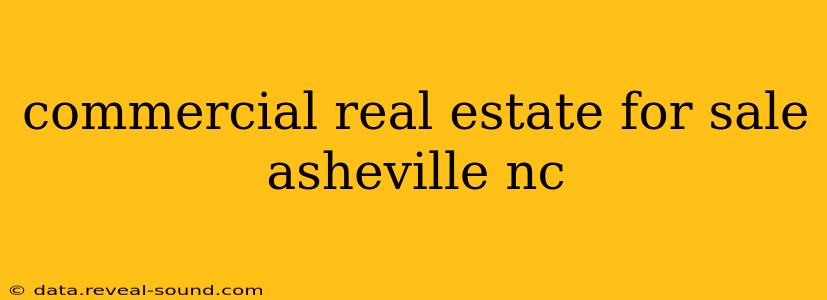 commercial real estate for sale asheville nc