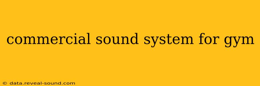 commercial sound system for gym