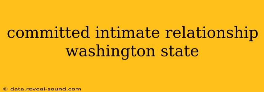 committed intimate relationship washington state