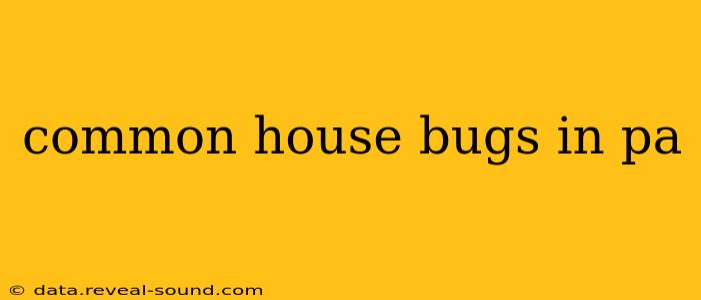 common house bugs in pa