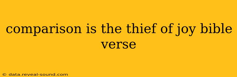 comparison is the thief of joy bible verse