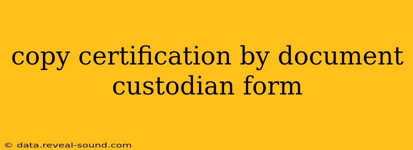 copy certification by document custodian form
