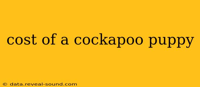 cost of a cockapoo puppy