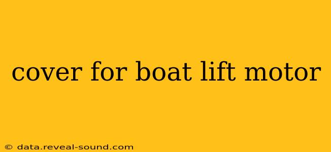 cover for boat lift motor