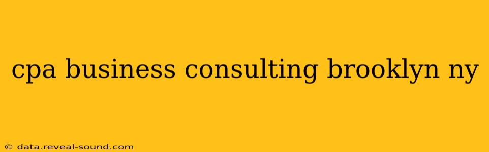 cpa business consulting brooklyn ny