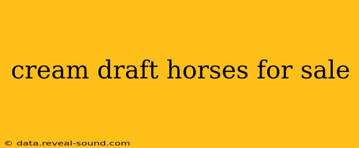 cream draft horses for sale