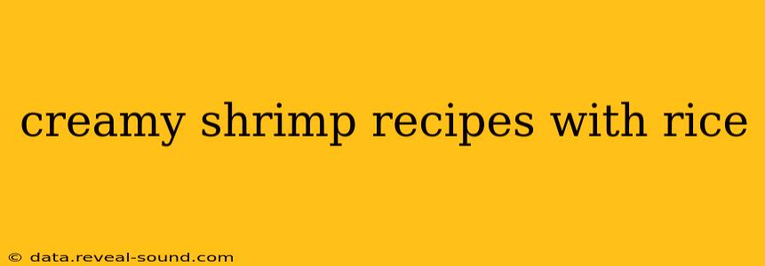 creamy shrimp recipes with rice