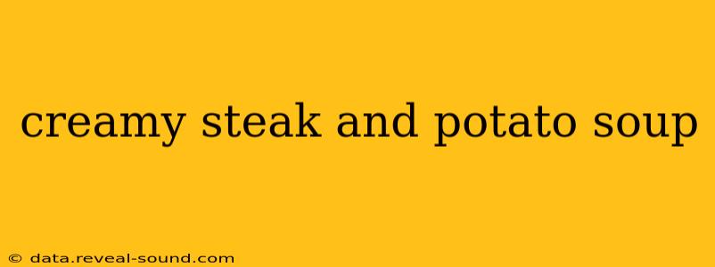 creamy steak and potato soup