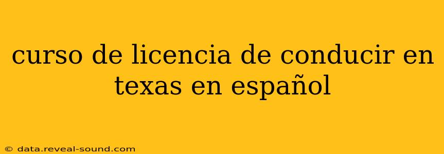 curso de licencia de conducir en texas en español