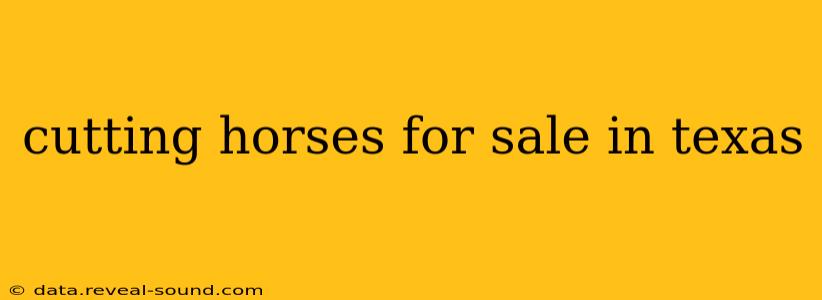 cutting horses for sale in texas