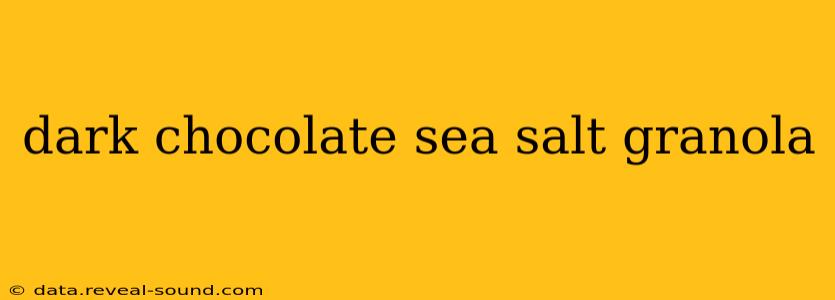 dark chocolate sea salt granola