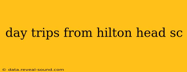 day trips from hilton head sc
