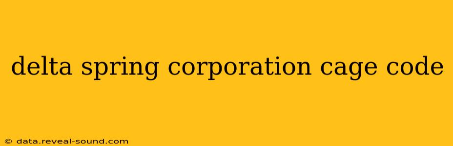 delta spring corporation cage code