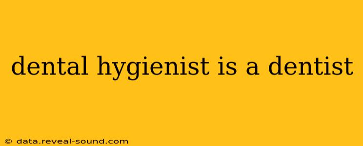 dental hygienist is a dentist
