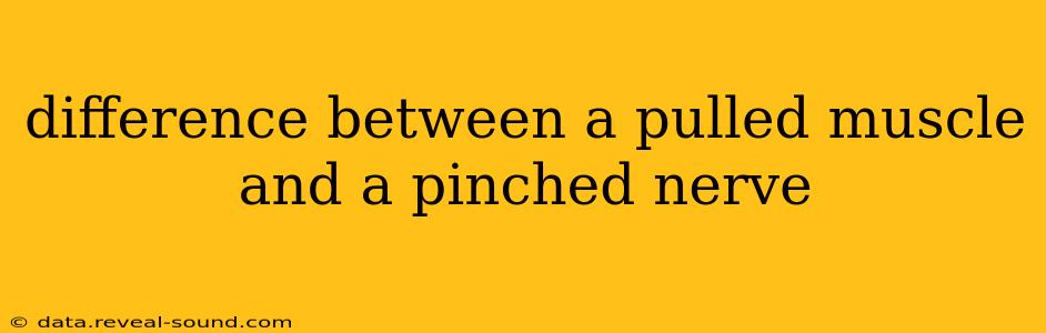 difference between a pulled muscle and a pinched nerve