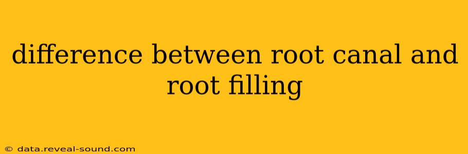 difference between root canal and root filling