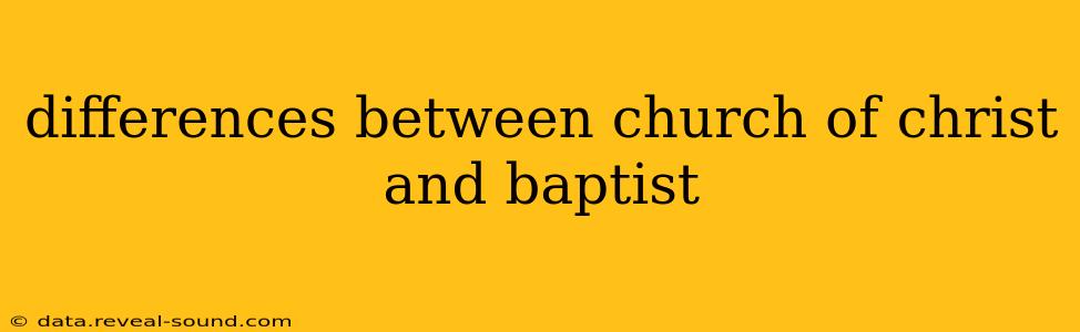 differences between church of christ and baptist