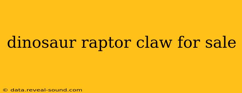 dinosaur raptor claw for sale