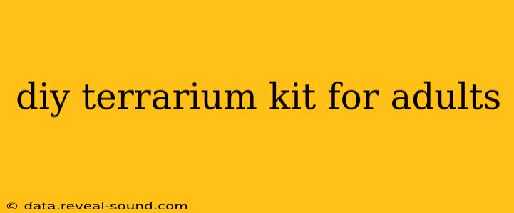 diy terrarium kit for adults