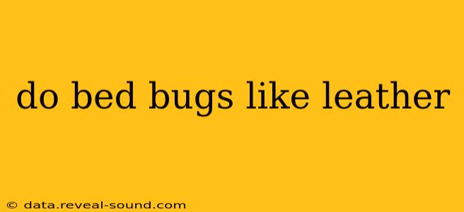 do bed bugs like leather