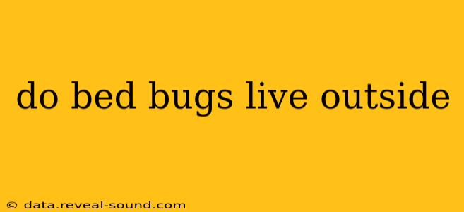 do bed bugs live outside