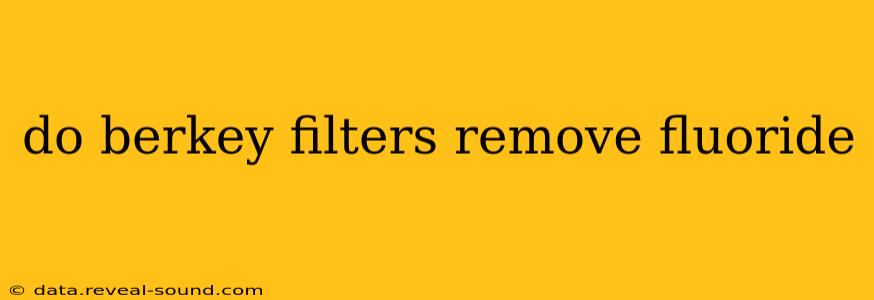 do berkey filters remove fluoride