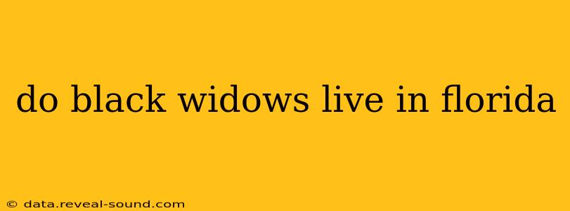 do black widows live in florida